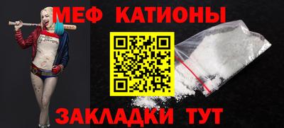 шишки Кингисепп