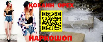 шишки Кингисепп