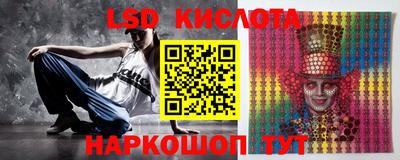 шишки Кингисепп
