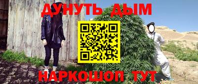 шишки Кингисепп