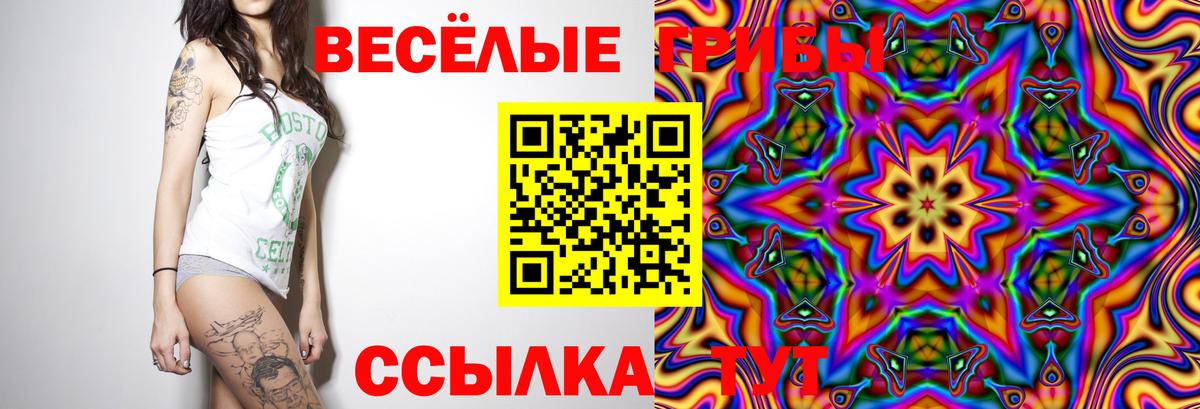 Галлюциногенные грибы GOLDEN TEACHER  Вход с VPN  Чайковский 